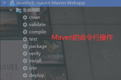 image-20220303205420892